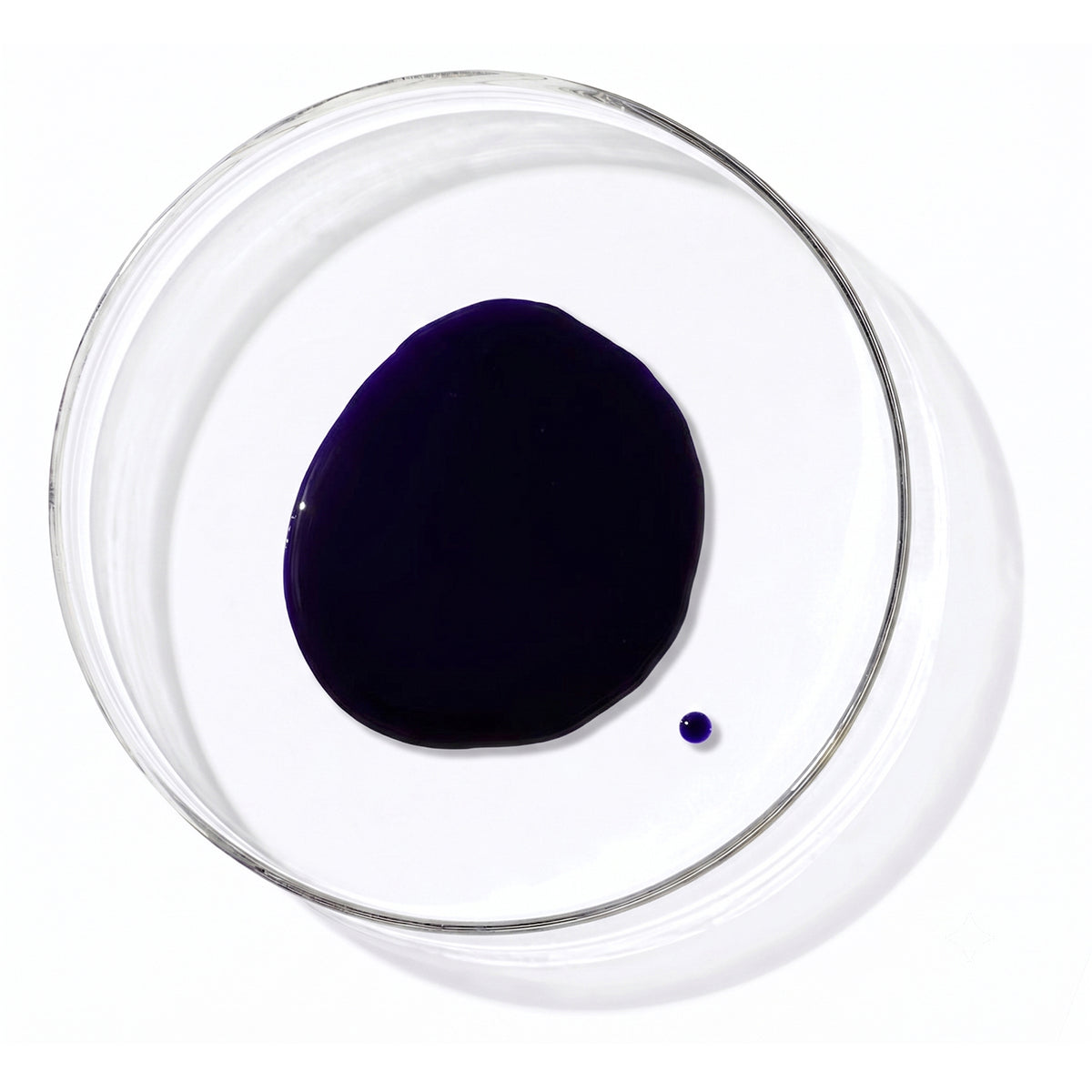 19 Pro Silver Shampoo