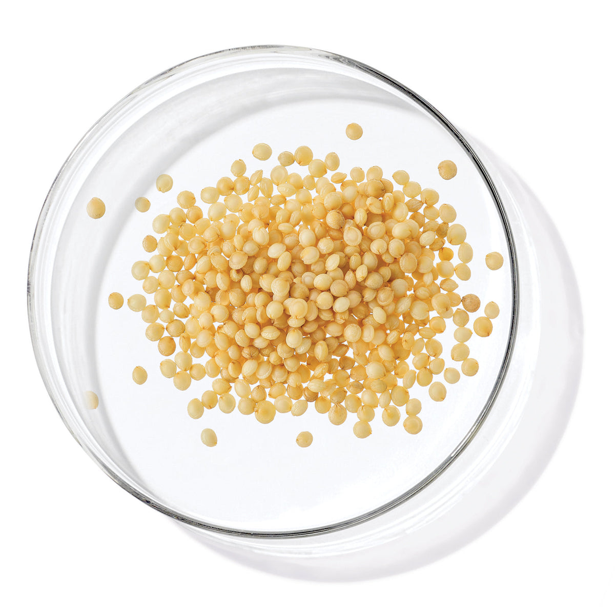 Amaranth Seed Extract