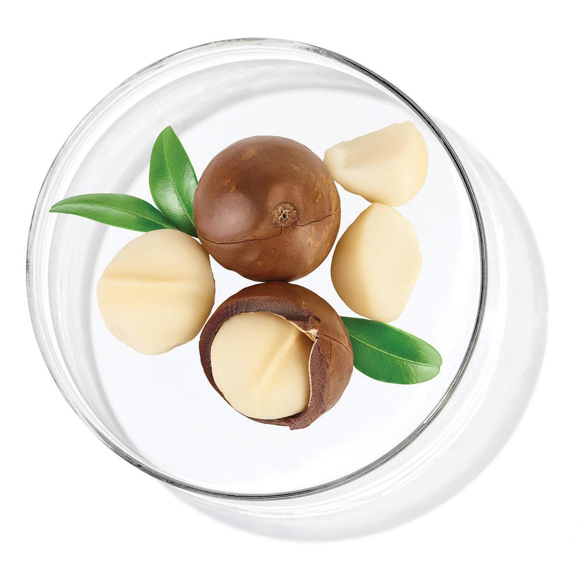 Macadamia Oil