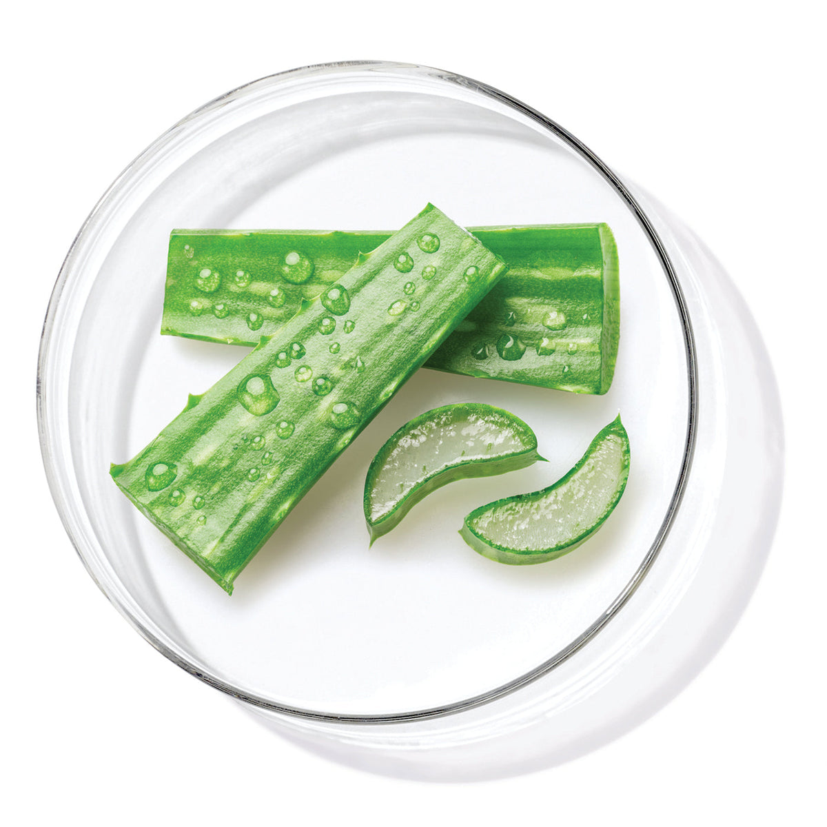 Aloe Vera Leaf Water