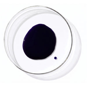 19 Pro Silver Shampoo