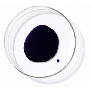19 Pro Silver Shampoo