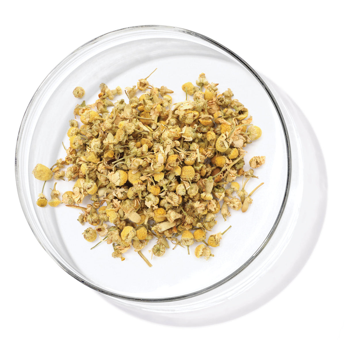 Chamomile Extract