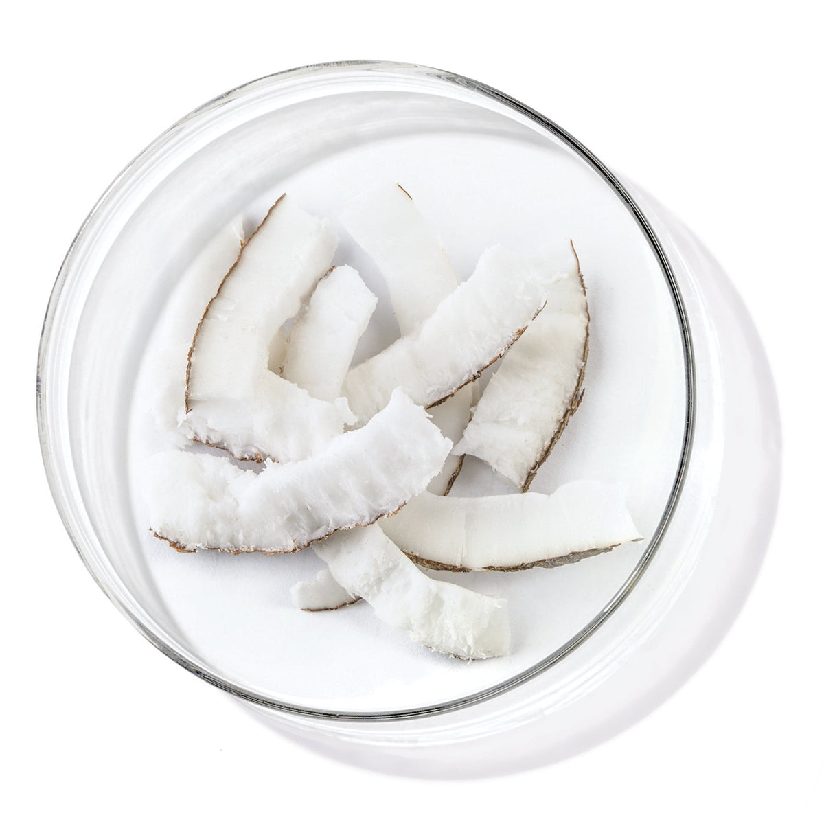 Coconut Oil