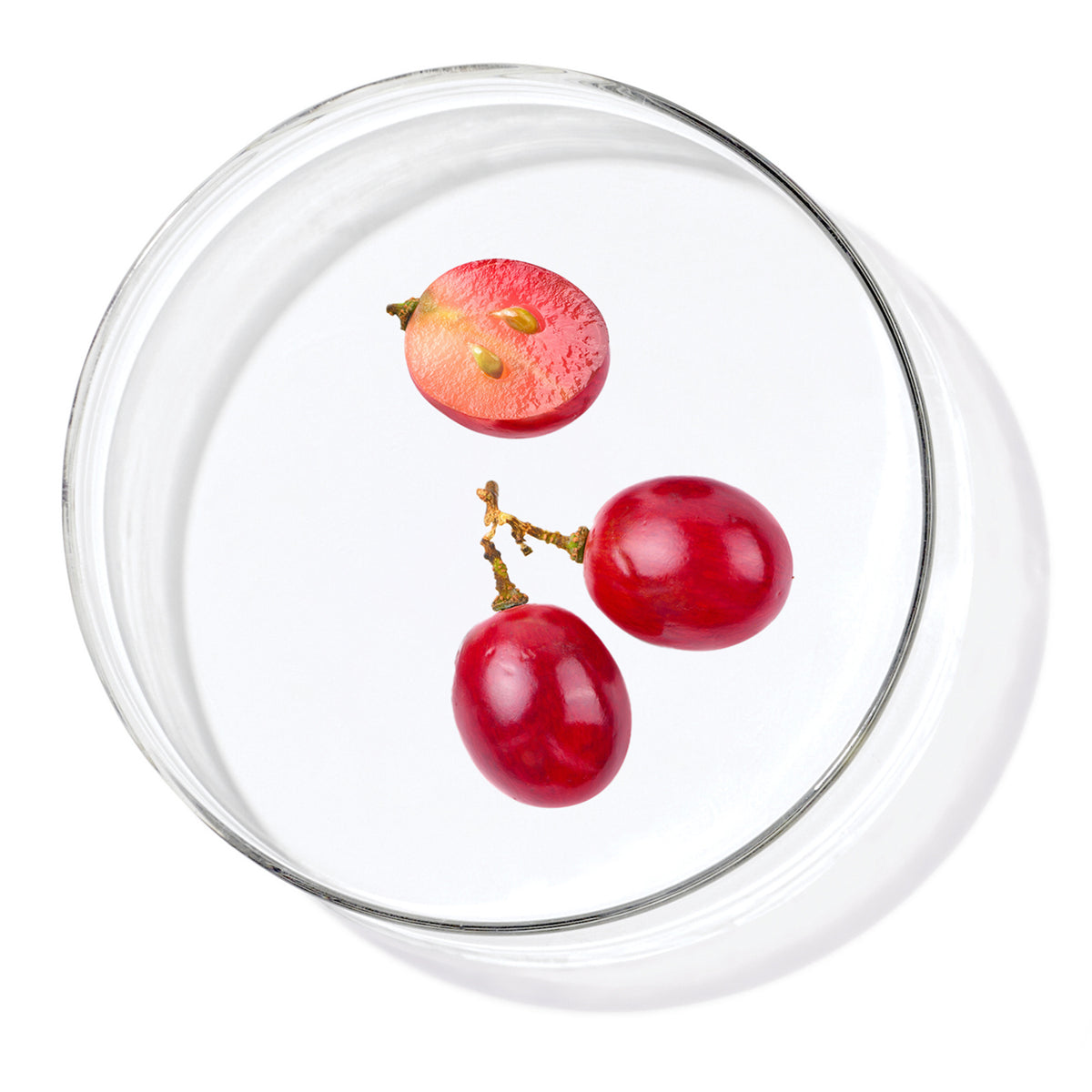 Grapeseed Oil